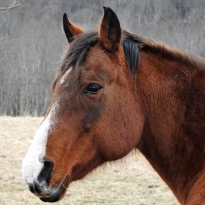 Meet your Posher, Jeanne